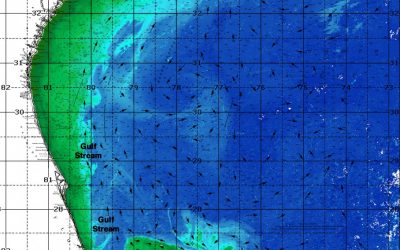 ROFFS™ Hurricane Dorian Update – Before & After Satellite Imagery/Ocean Conditions