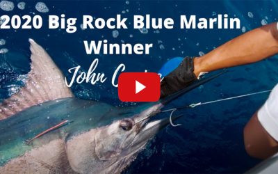 Just Angling – 2020 Big Rock Blue Marlin Winner – Captain John Cruise!