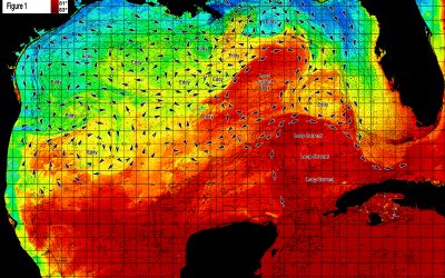 Gulf of Mexico Spring Season Preview 2021: CONDITIONS LOOK PROMISING AGAIN THIS YEAR IN THE GULF OF MEXICO