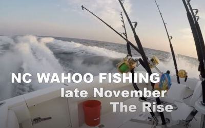 Fishing The Rise: NC Wahoo Fishing