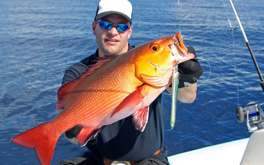 NOAA Fisheries Announces Limited Openings of Recreational and Commercial Red Snapper Seasons in South Atlantic Federal Waters
