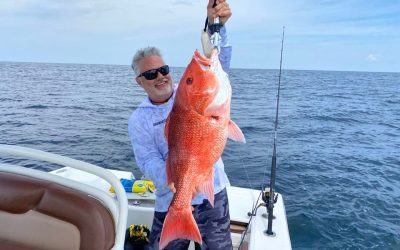 Stop The Madness: Federal Regulations May Increase Red Snapper Limits