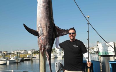393-Pound Swordfish Breaks Maryland Record
