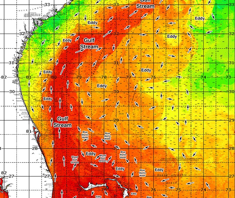 Southern Florida to Cape Hatteras Spring Season Preview 2023: UPDATE ON U.S. EAST COAST GULF STREAM CONDITIONS
