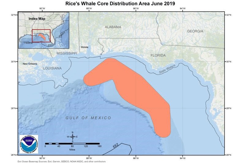 Proposed Gulf of Mexico Speed Restrictions